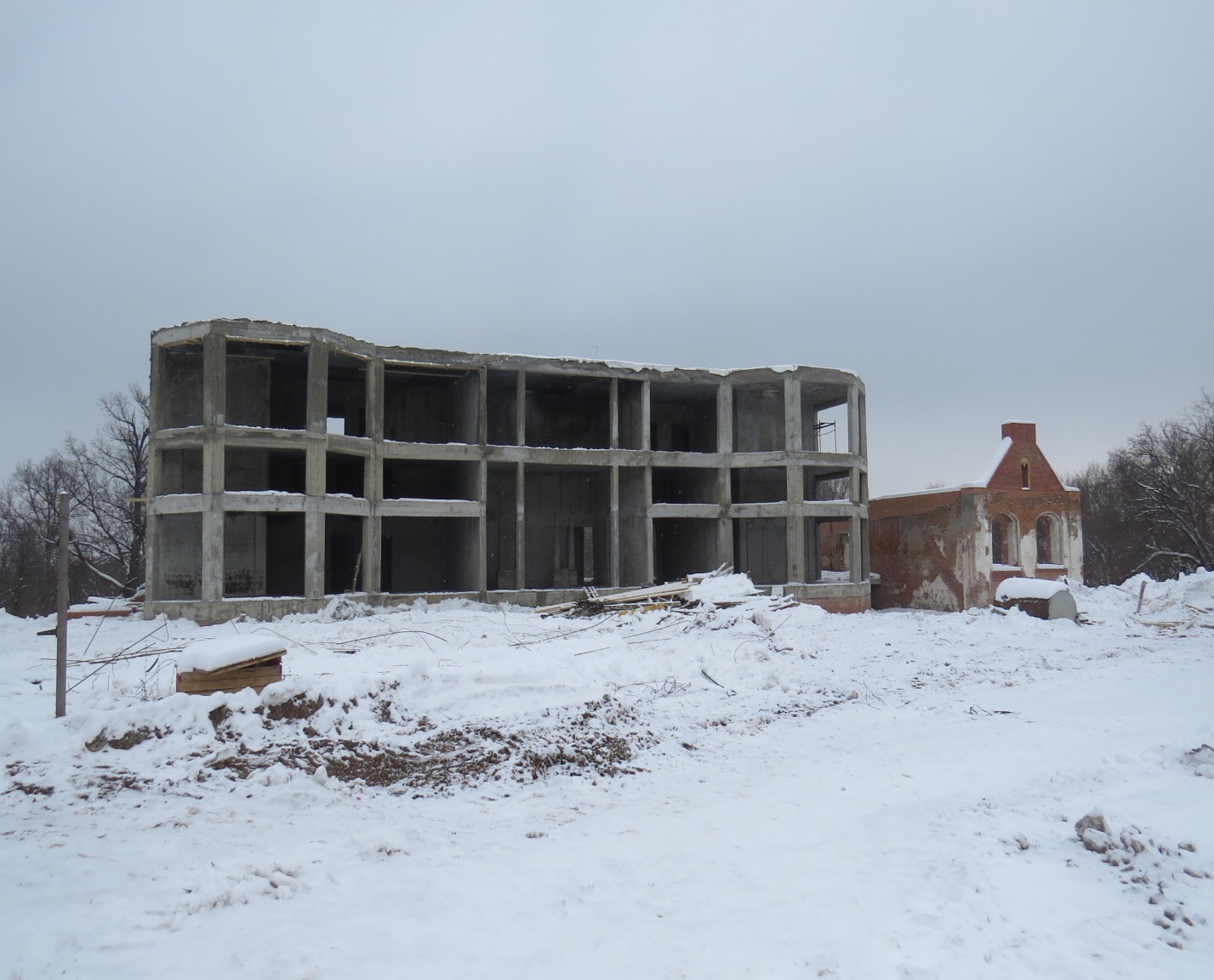 В Тамбовской области возрождают родовую усадьбу Чичериных | 04.02.2017 |  Тамбов - БезФормата