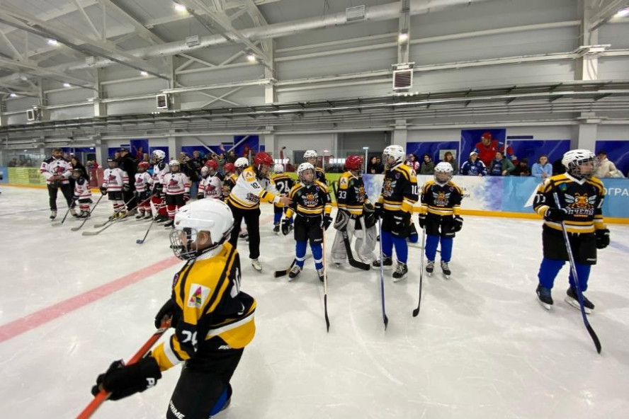 Тамбовская команда "Пчелы" приняла участие в турнире по специальному хоккею