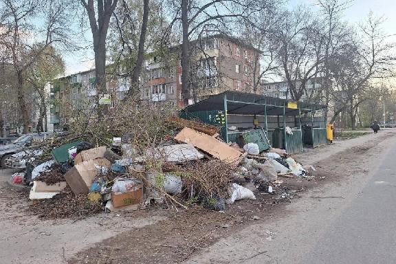 В Тамбовской области случился мусорный коллапс