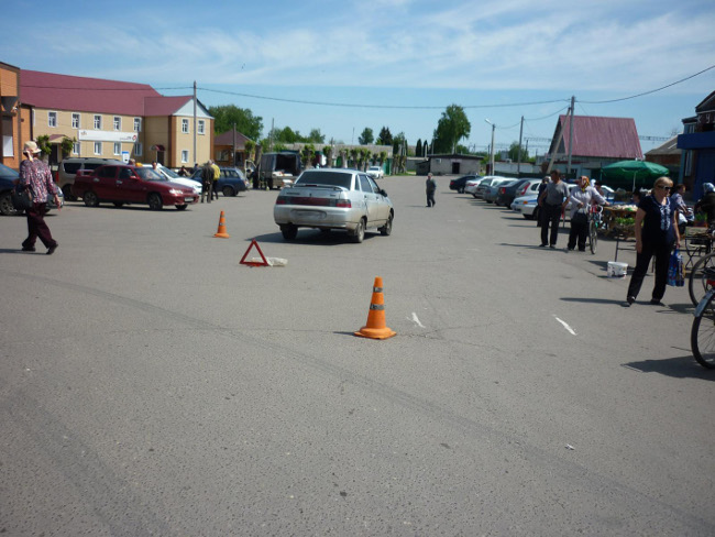 Погода в петровске на 10 дней. Петровский район Тамбовская область. Петровское село Тамбов школа.