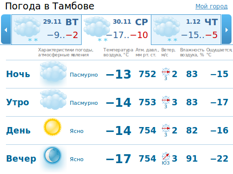 Тамбов погода сейчас по часовая