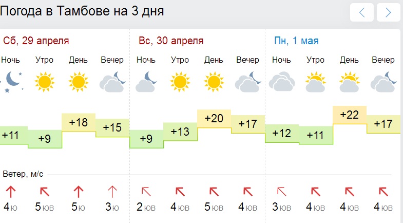 Погода в тамбове на 10 дней. Погода в Тамбове. Погода в Тамбове сегодня. Погода в Тамбове на 10. Погода в Тамбове на завтра.