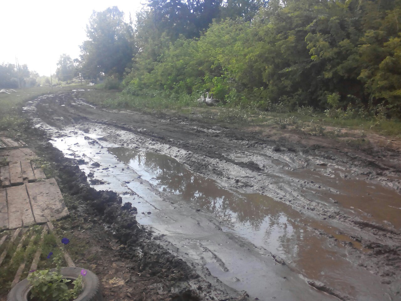 Село верхнеспасское рассказовского района карта