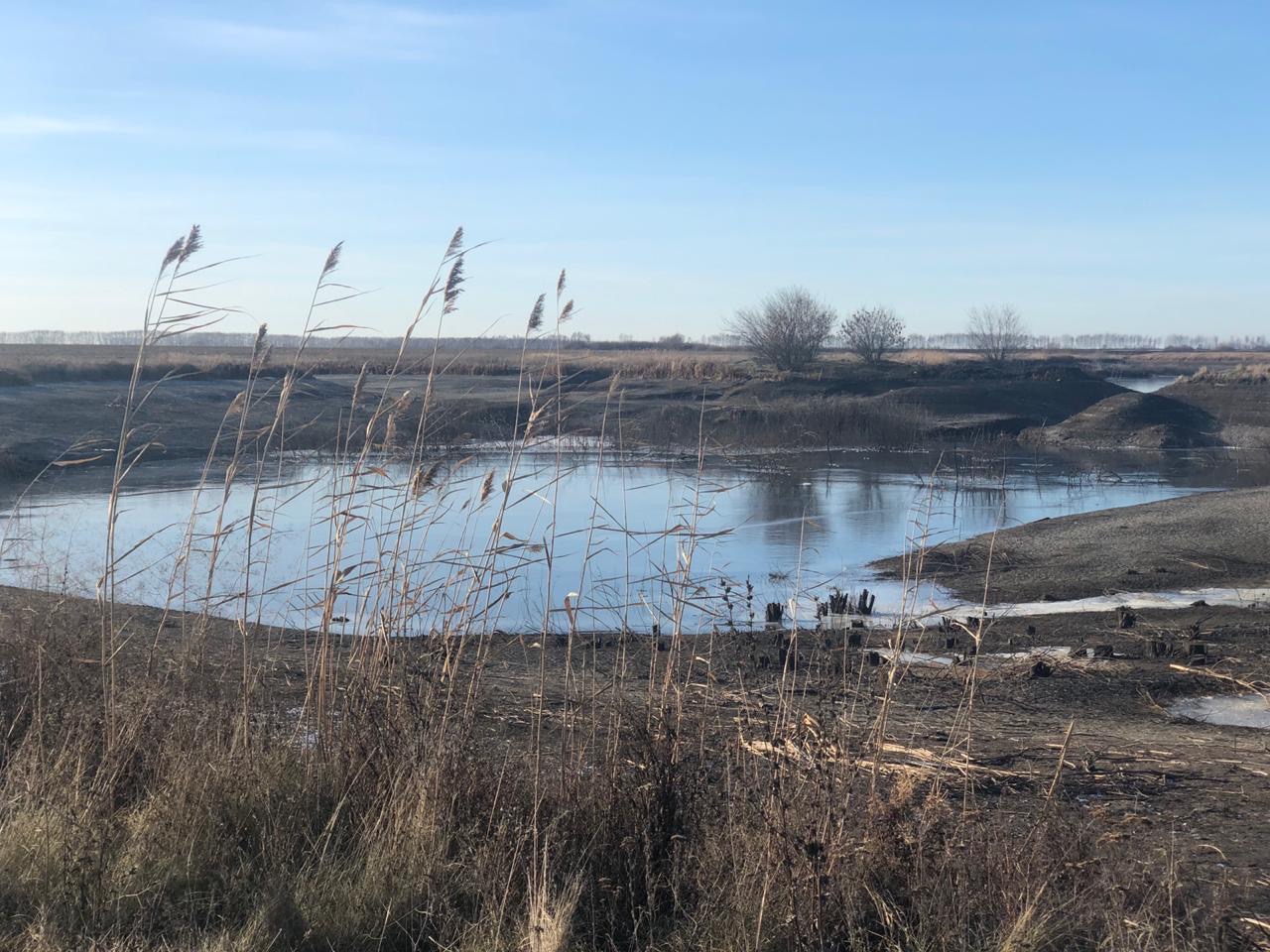 Село лунёвка Мучкапский район