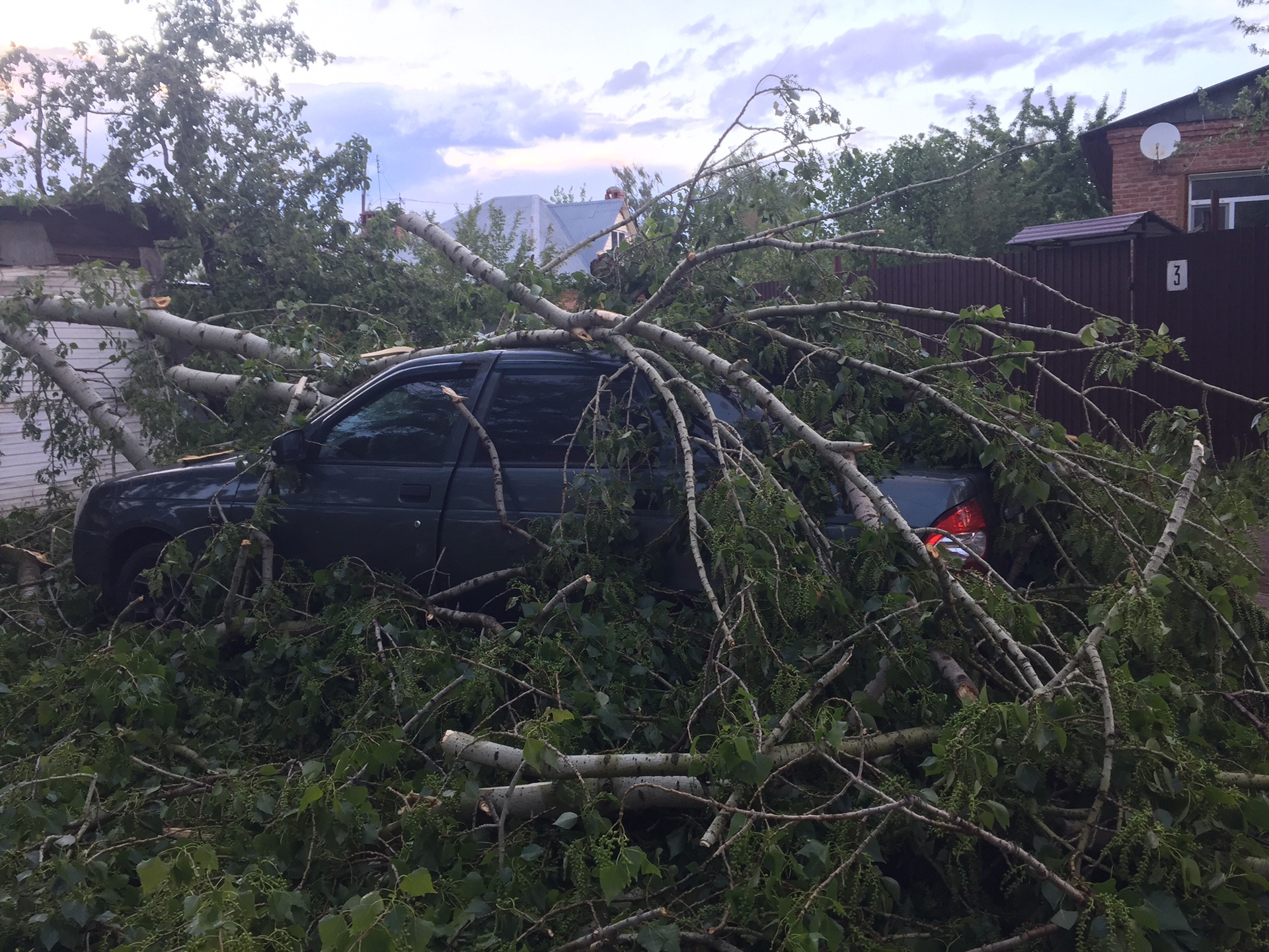 В Тамбове устраняют последствия ураганного ветра | 08.05.2024 | Тамбов -  БезФормата