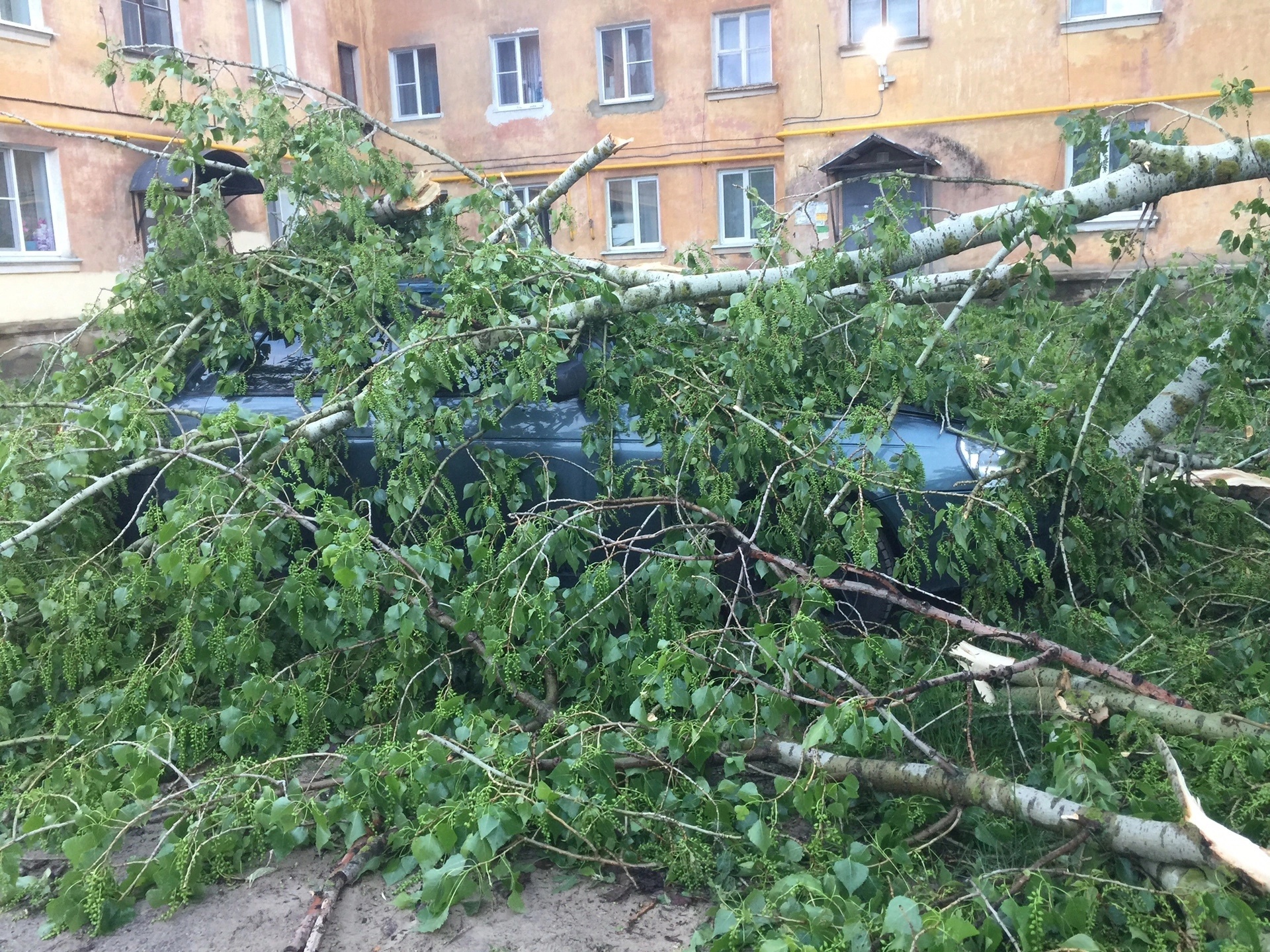 В Тамбове устраняют последствия ураганного ветра | ИА “ОнлайнТамбов.ру”