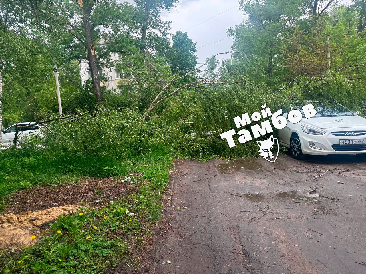 В Тамбове устраняют последствия ураганного ветра | 08.05.2024 | Тамбов -  БезФормата