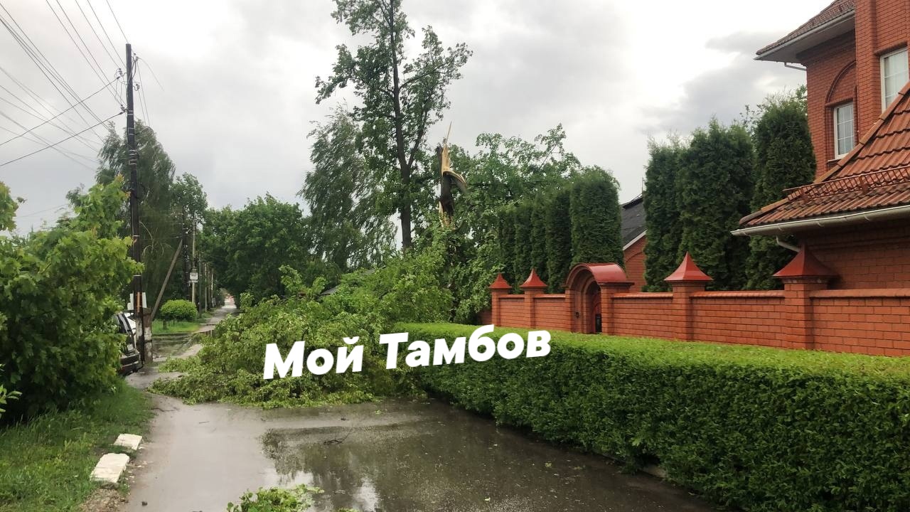 В Тамбове устраняют последствия ураганного ветра | 08.05.2024 | Тамбов -  БезФормата