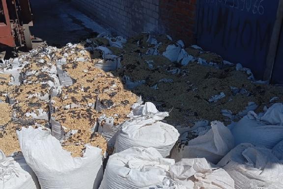 Тамбовчанка подожгла 8 тонн зерна на сельхозпредприятии в Умёте
