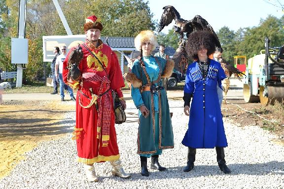 В Тамбовской области состоится фестиваль традиций русской соколиной охоты