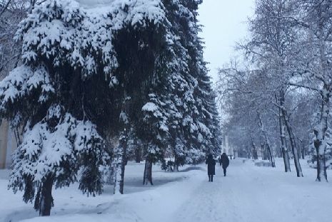 Синоптики рассказали, какой будет погода в Тамбове в выходные