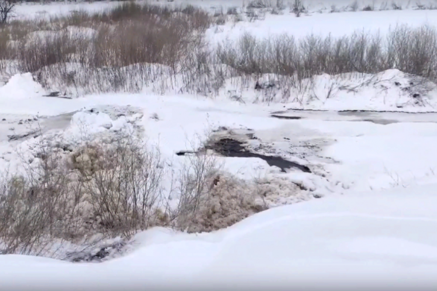 В Знаменском округе реку Царёвка вновь загрязняют промышленные стоки с территории сахарного завода