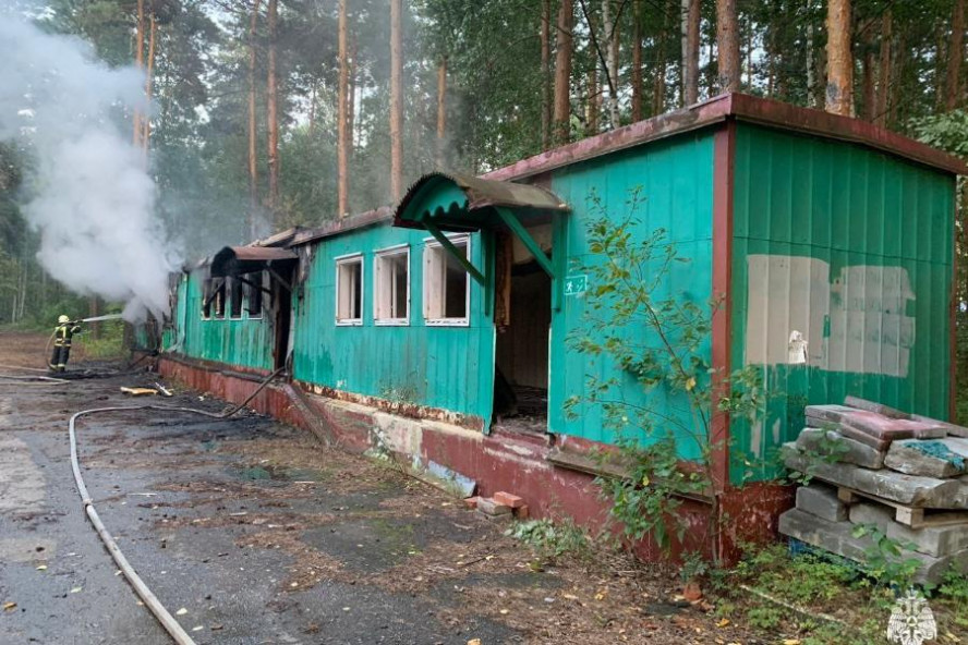 Под Тамбовом сгорели хозпостройки у леса