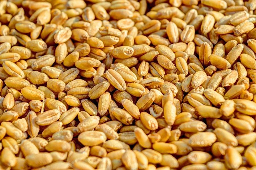 Водитель сельхозпредприятия похитил с места работы 3 тонны зерна