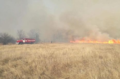 За неделю при пожарах в Тамбовской области погибли четыре человека