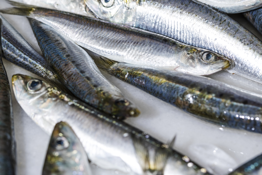 В Тамбовской области выявили небезопасную рыбную продукцию