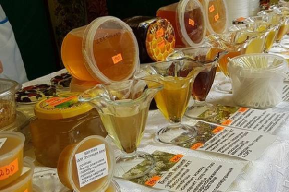 Подсолнечный, цветочный, полевой: в Тамбове пройдет ярмарка мёда