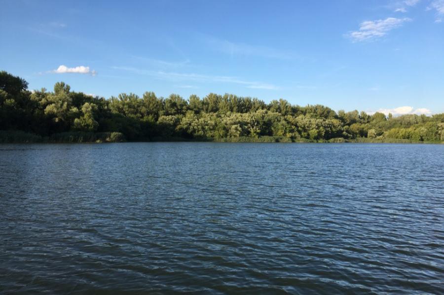 Тамбовская сельхозорганизация незаконно похищала воду из водоема