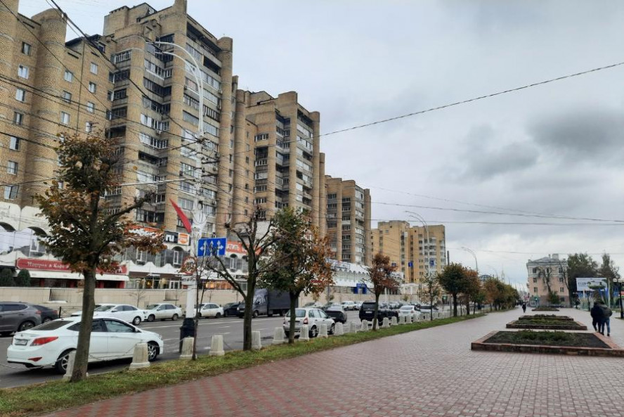 Итоги дня: введение туристического налога в Тамбове, жалобы на бездомных собак, рейд по мигрантам