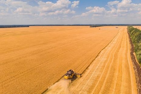 Тамбовские аграрии собрали уже почти 4 миллиона тонн зерна