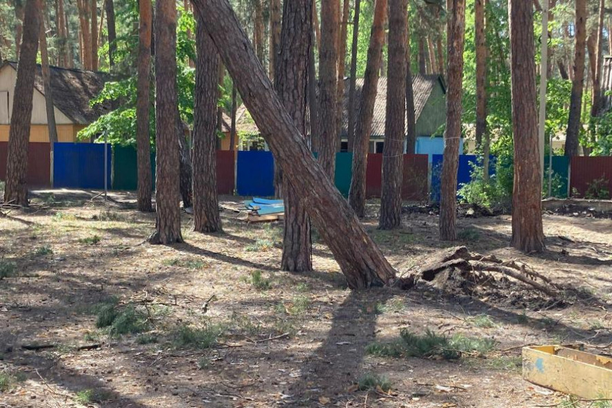 В Тамбове на территории бывшего детского лагеря "Ласточка" вырубают деревья