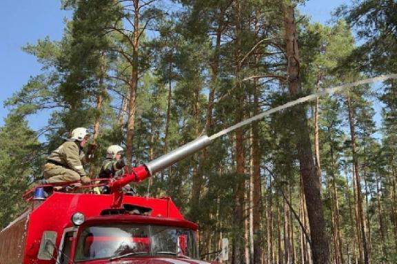 В Тамбовской области выявлено 88 нарушений лесного законодательства