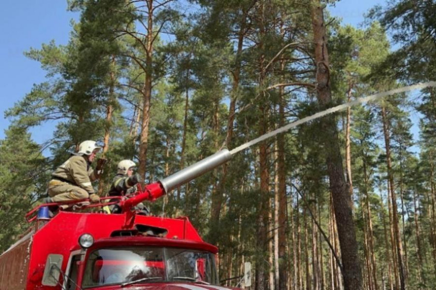 В Тамбовской области выявлено 88 нарушений лесного законодательства