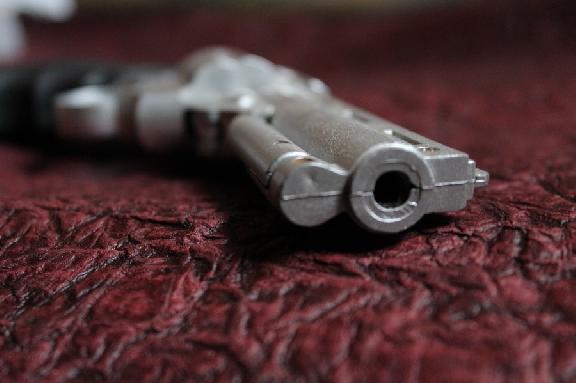 Житель Мичуринского округа сделал дома пистолет