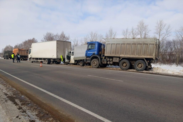 На трассе в Ржаксинском районе столкнулись три автомобиля