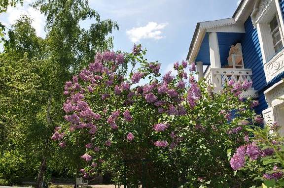 В Ивановке построят гостиницу и летнюю сцену