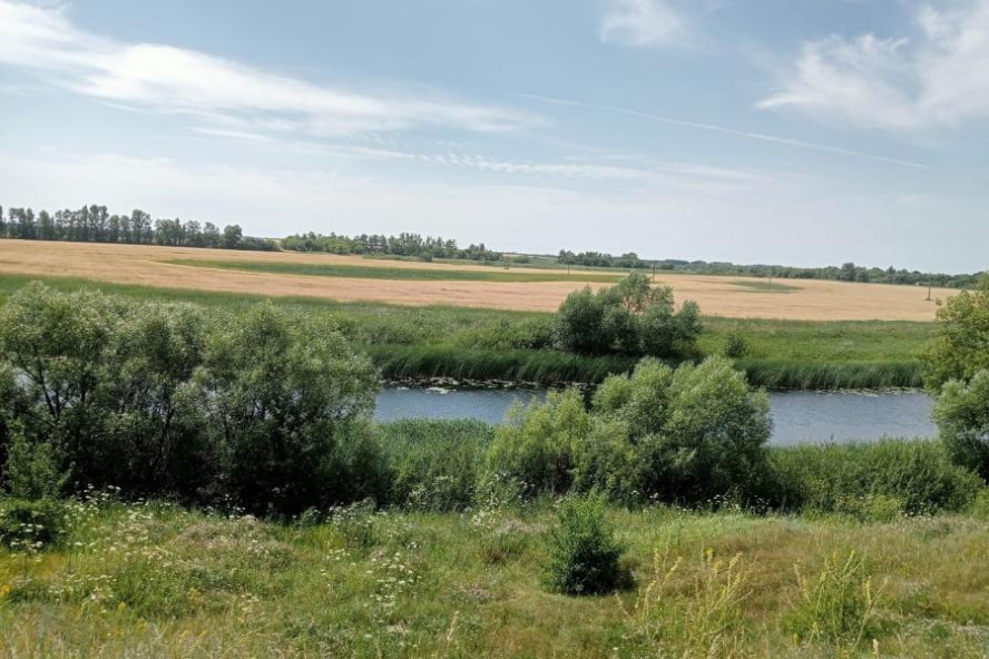 В регионе выявили незаконную распашку земель в границах прибрежной полосы реки Битюг