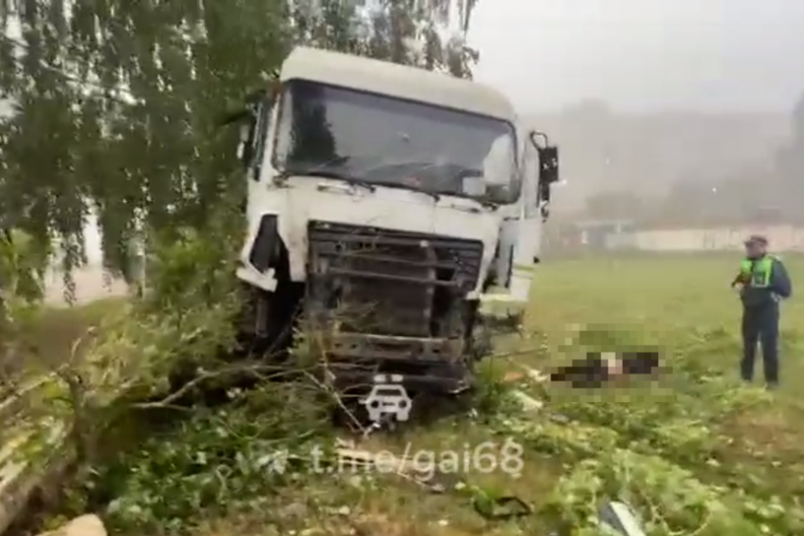 В Тамбове на улице Бастионной пьяный водитель МАЗа снёс дорожный знак и несколько тополей