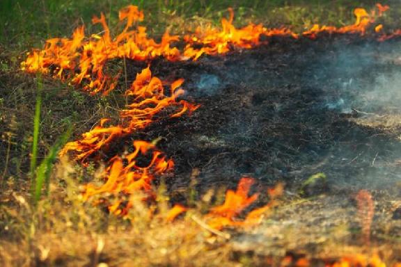 В Тамбовской области ожидается установление высокой пожароопасности