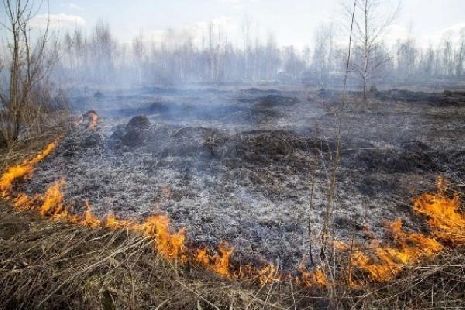 В Тамбовской области сохраняется чрезвычайная пожарная опасность