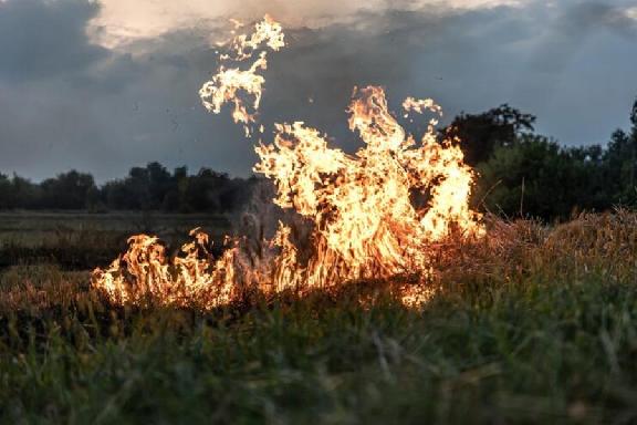 В Тамбовской области ожидается чрезвычайная пожароопасность 