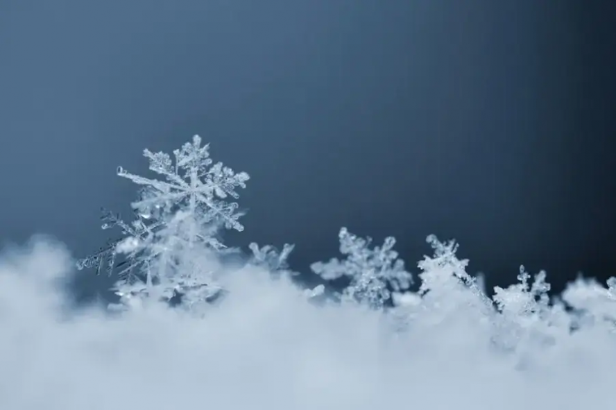 В Тамбовской области ожидается снегопад и туман