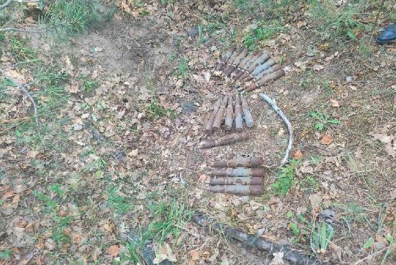 В Тамбовской области обнаружили снаряды