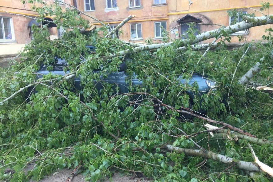 В Тамбове устраняют последствия ураганного ветра