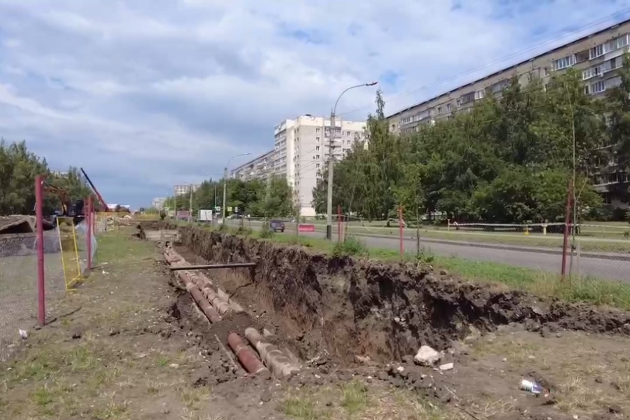 В Тамбове липам на улице Рылеева гибель не грозит