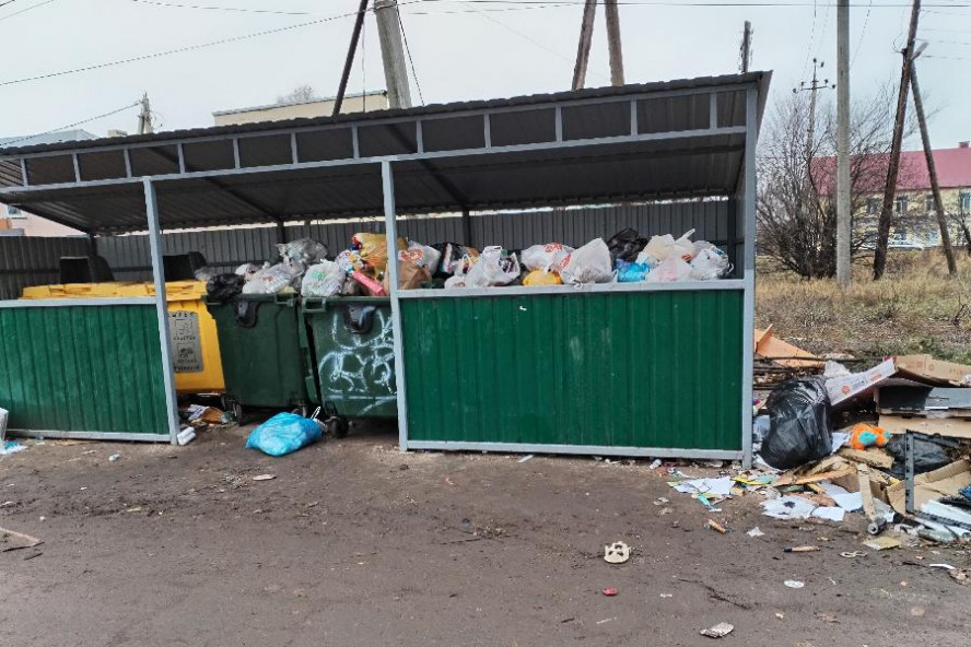 Власти Тамбова обещают жаловаться в прокуратуру на некачественный вывоз мусора