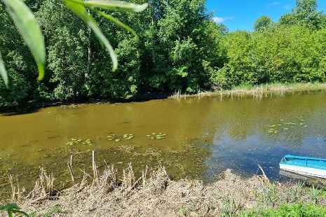В реке Ворона Тамбовской области нашли тело мужчины
