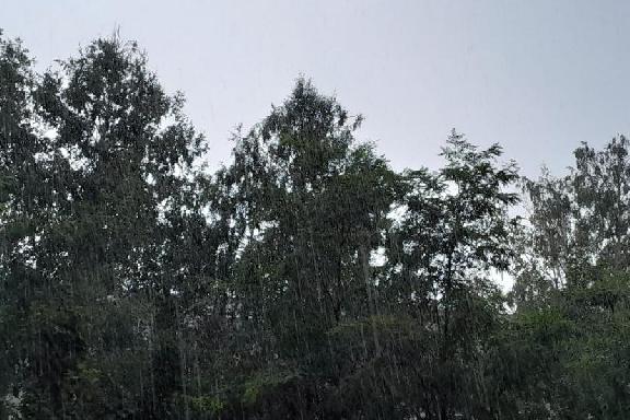 Синоптики прогнозируют ухудшение погодных условий в Тамбове