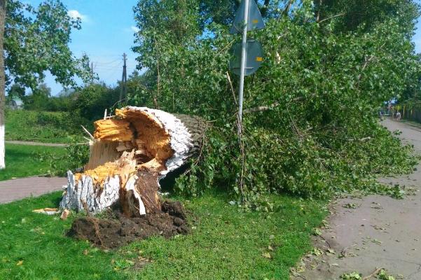 Ураган в тамбове. Ураган в Тамбовской области. Посёлок комсомолец Тамбов. Поселок совхоза комсомолец Тамбовская область.