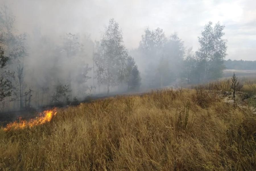 В Тамбовской области объявлена чрезвычайная пожарная опасность 
