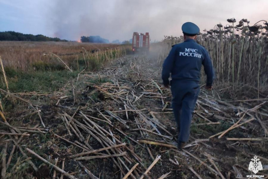 В Тамбовской области за сутки произошло 15 загораний травы и мусора