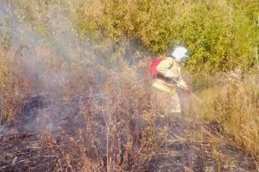 Добровольные пожарные помогли потушить вспыхнувшую растительность под Тамбовом