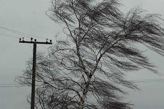 МЧС предупреждает об усилении ветра в Тамбове