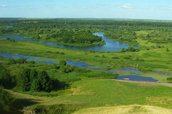 Воронинский заповедник тамбовской области фото