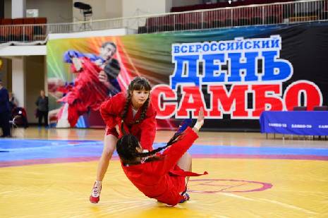 В Тамбове отметят Всероссийский день самбо соревнованиями