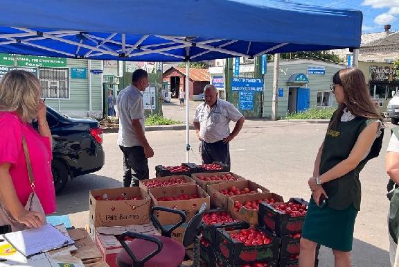 В Тамбове выявили несанкционированную торговлю на улице Пятницкой 